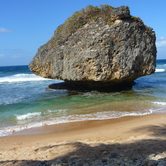 The East Coast of Barbados